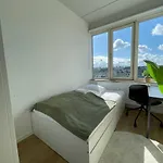 Norrebro Big